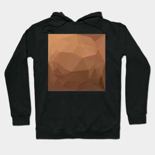 Burlywood Goldenrod Abstract Low Polygon Background Hoodie